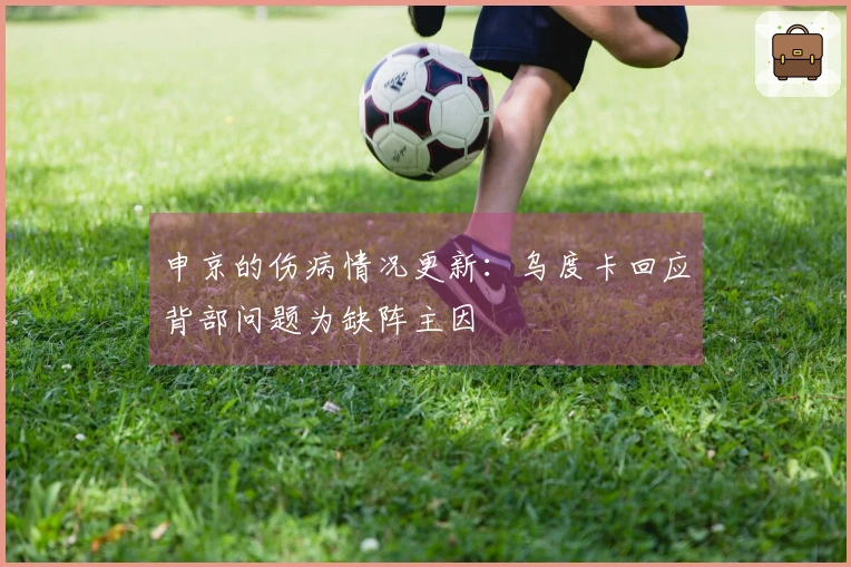 申京的伤病情况更新：乌度卡回应背部问题为缺阵主因