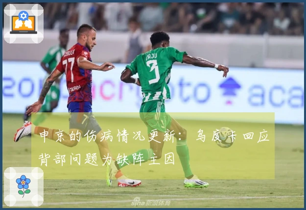 申京的伤病情况更新：乌度卡回应背部问题为缺阵主因